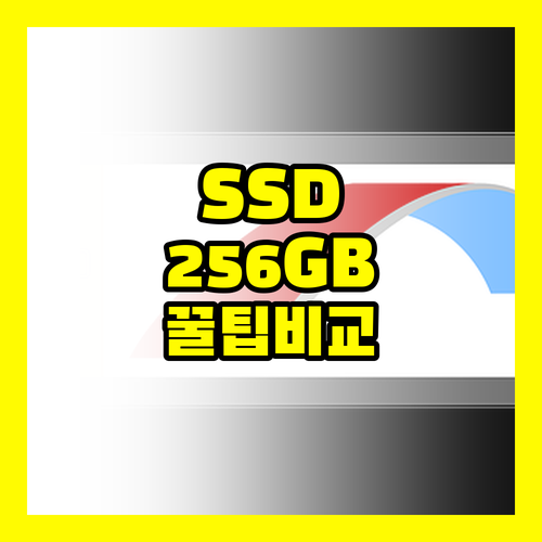 서울 삼성SD 256GB|EVO/PRO비교