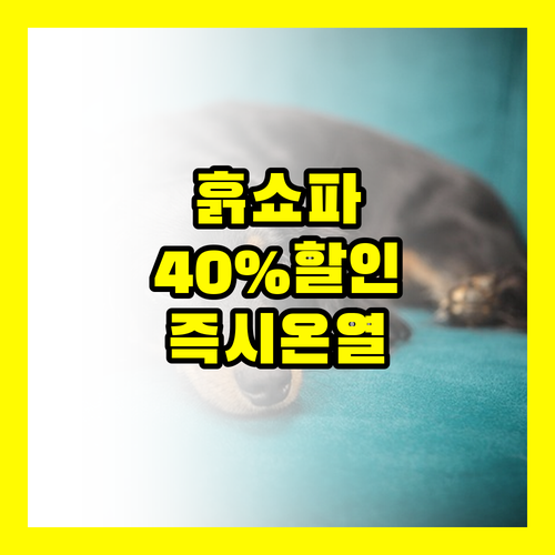 서울 흙쇼파 즉시 효과 보는 온열 40% 할인+쿠션