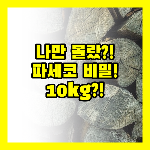 파세코 소형심지난로 10kg 휴대용 나만 모르는 비밀 정리