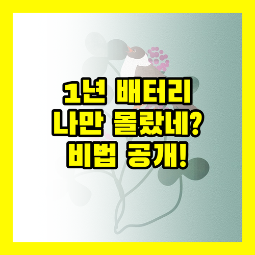 레드빈 태그오 듀얼 1년 배터리 나만 모르는 비법