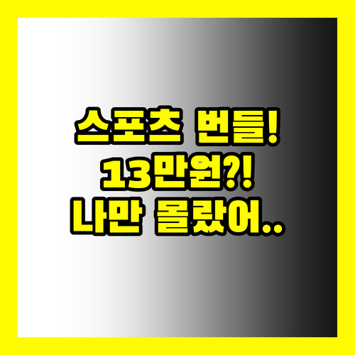 닌텐도 스위치 스포츠 번들 131020원 할인 나만 모르는 비밀 여기 있어요