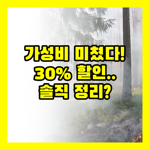 Baseus 67W GaN 전원 스트립 30% 할인 가성비 따져본 솔직 정리